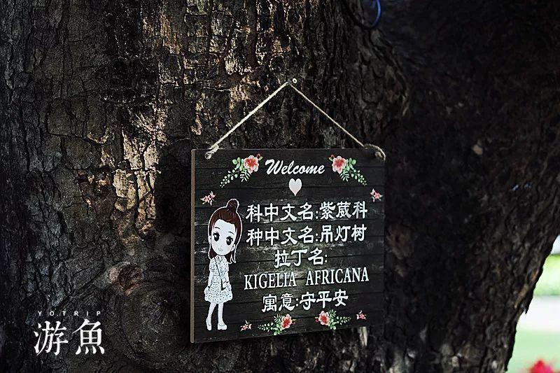 全民剧本大师内置菜单